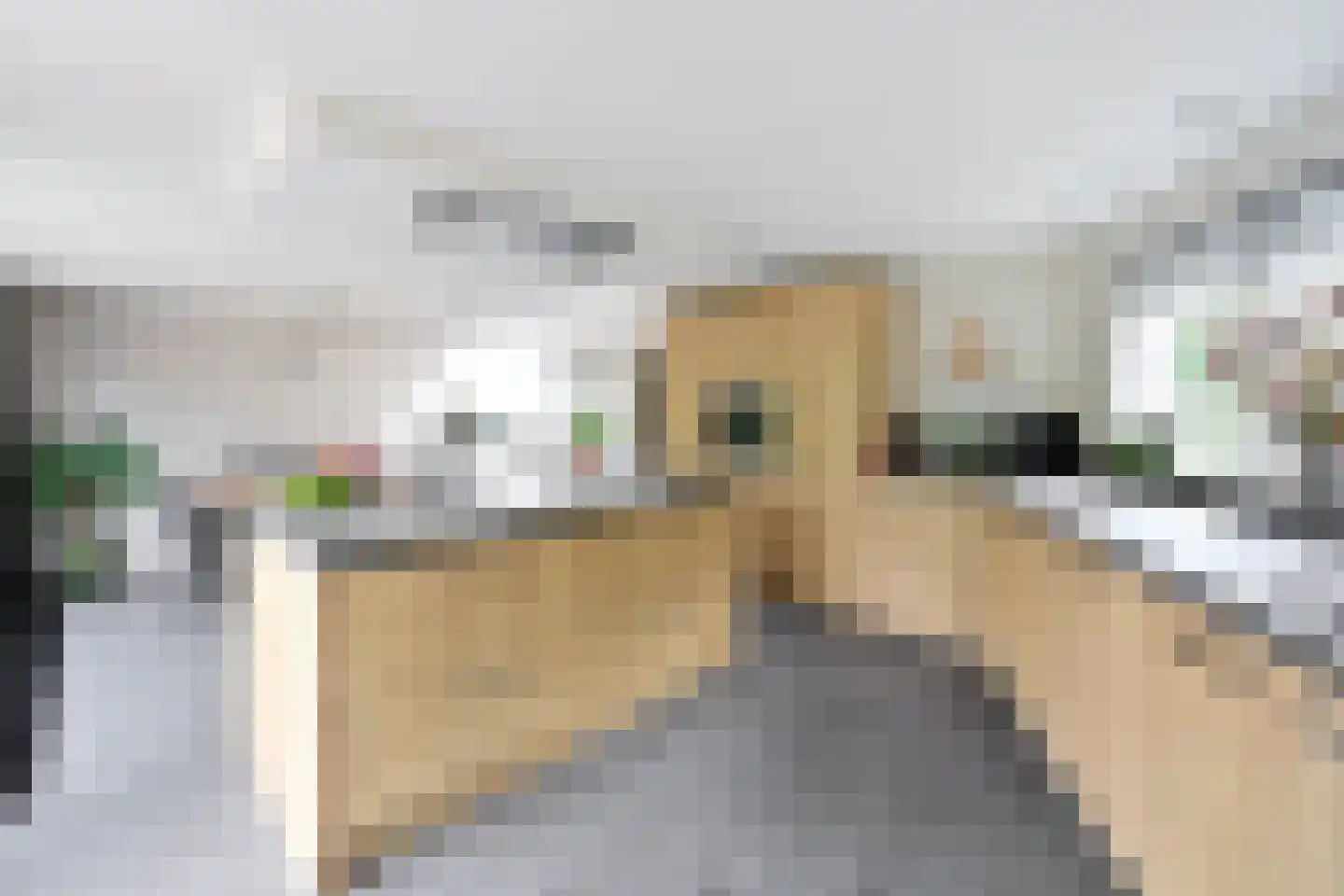 Heideveldweg 31 Laren thumbnail 10
