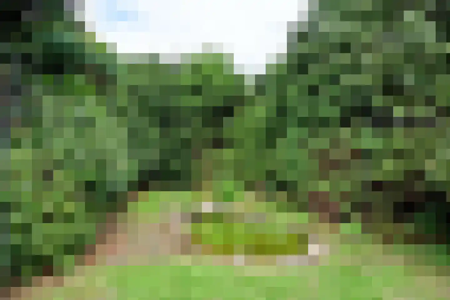 Heideveldweg 31 Laren thumbnail 15