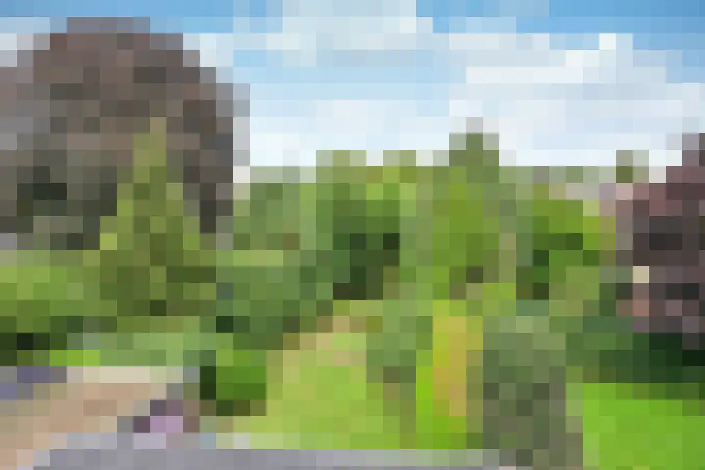 Heideveldweg 31 Laren thumbnail 19