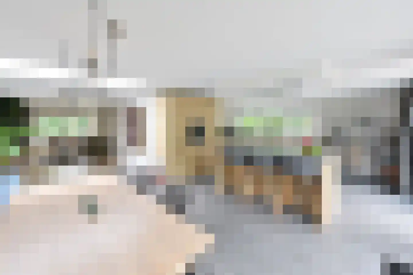 Heideveldweg 31 Laren thumbnail 9