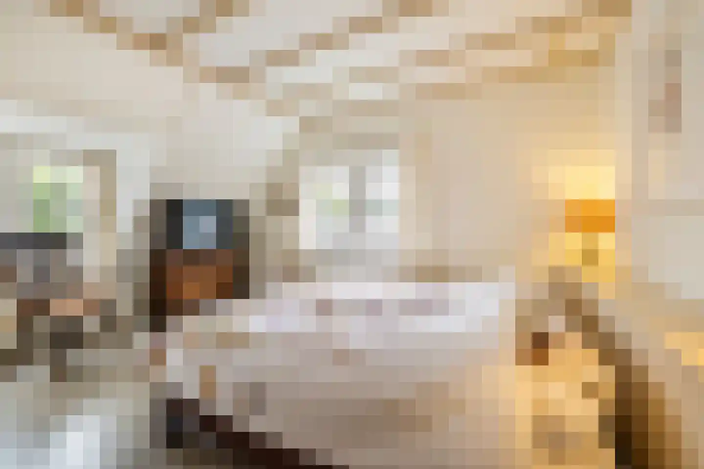 Heideveldweg 41 Laren thumbnail 17