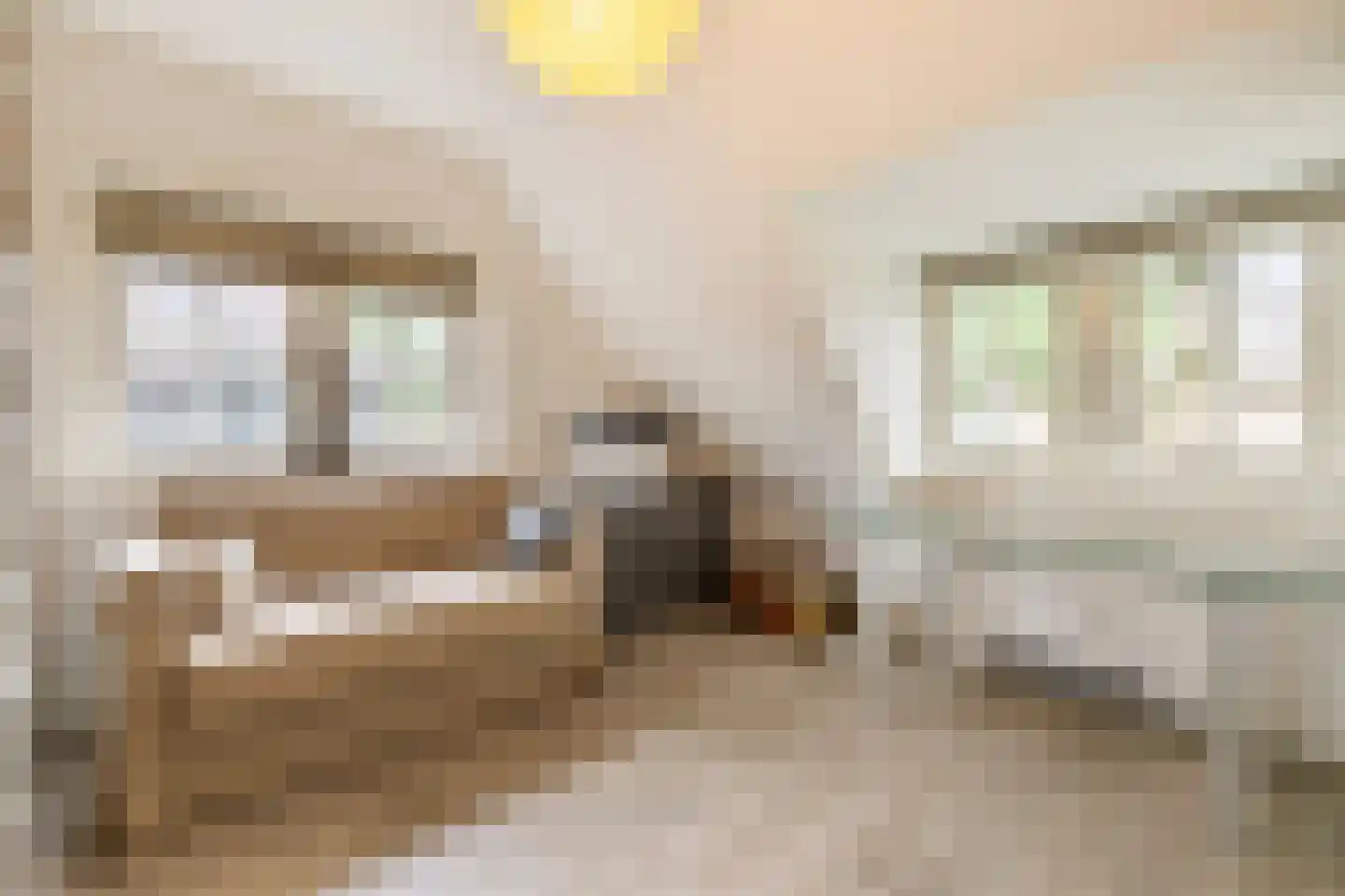 Heideveldweg 41 Laren thumbnail 22