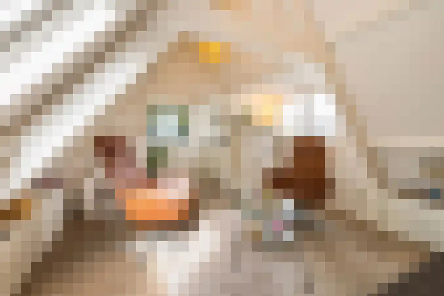 Heideveldweg 41 Laren thumbnail 28