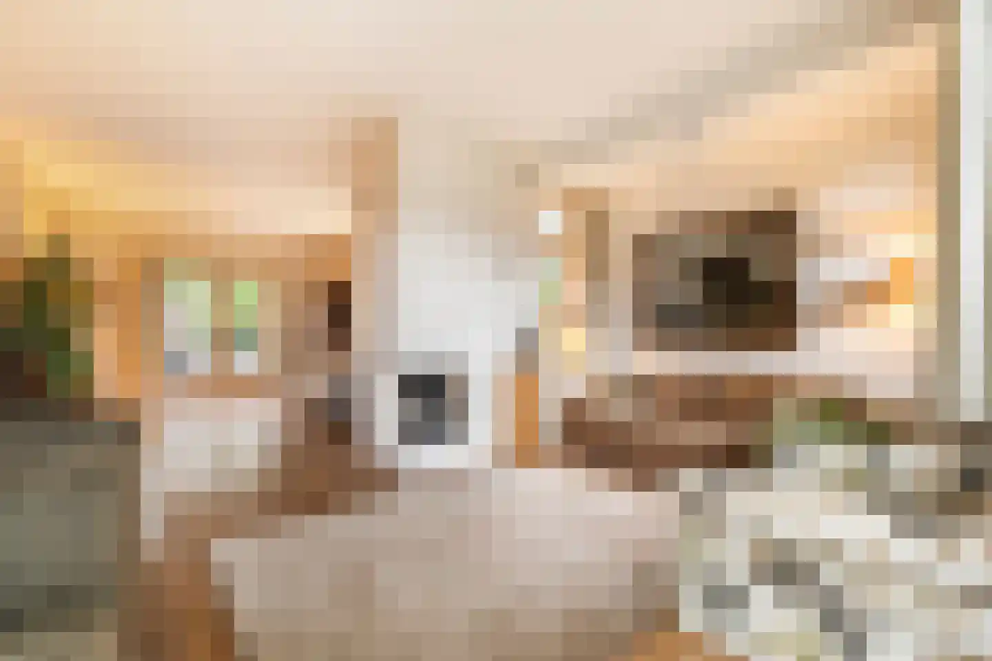 Heideveldweg 41 Laren thumbnail 5