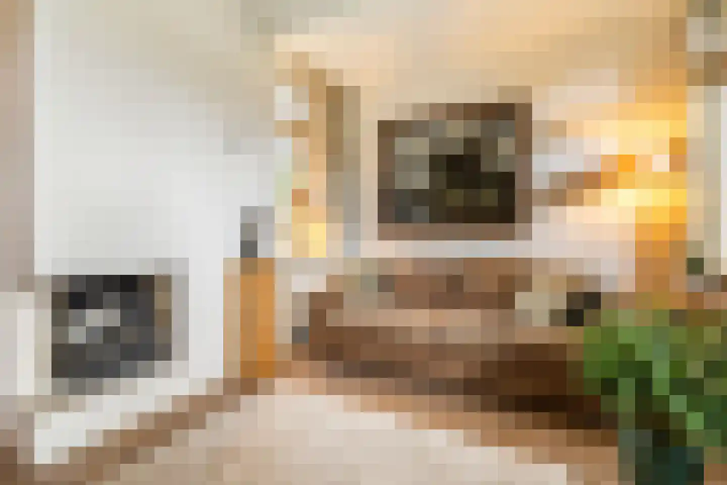Heideveldweg 41 Laren thumbnail 6