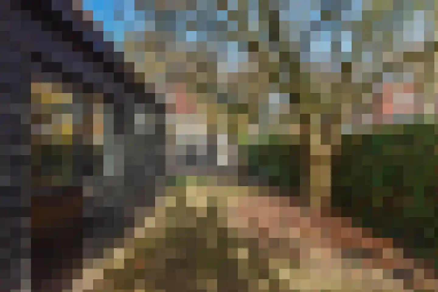 Heideveldweg 62 Laren thumbnail 22