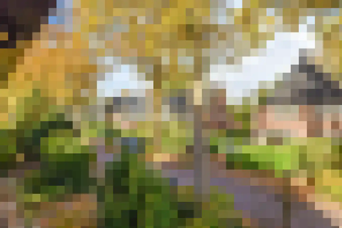 Heideveldweg 62 Laren thumbnail 43