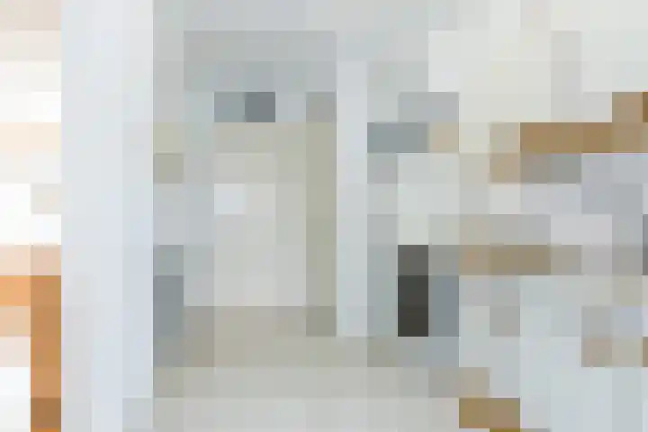 Heideveldweg 64 Heerlen thumbnail 10