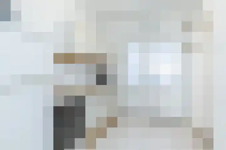 Heideveldweg 64 Heerlen thumbnail 11