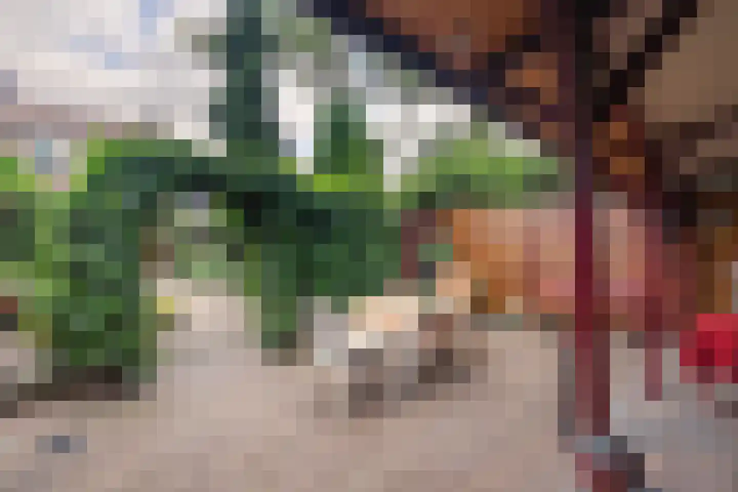 Heideveldweg 72 Heerlen thumbnail 21