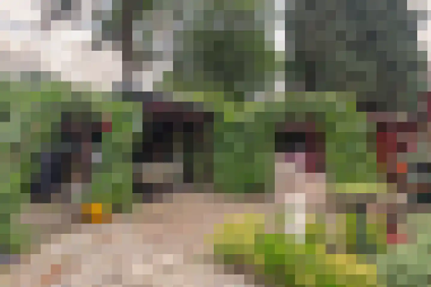 Heideveldweg 72 Heerlen thumbnail 22
