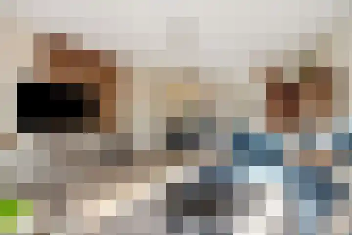 Heideven 21 Deurne thumbnail 14