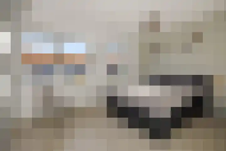 Heideven 21 Deurne thumbnail 18