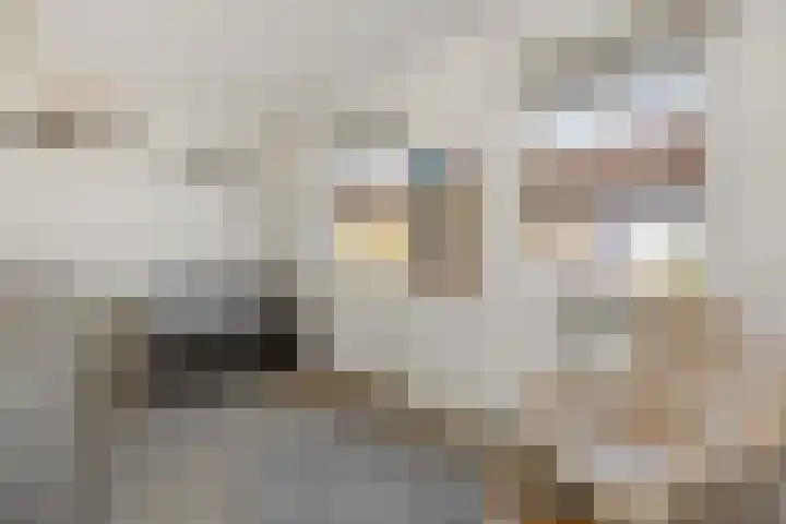 Heideven 21 Deurne thumbnail 20