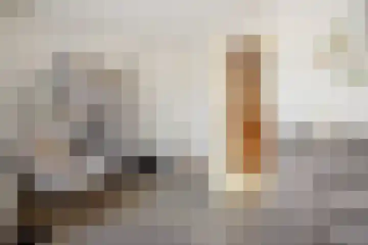 Heideven 21 Deurne thumbnail 21