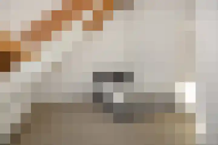 Heideven 21 Deurne thumbnail 25