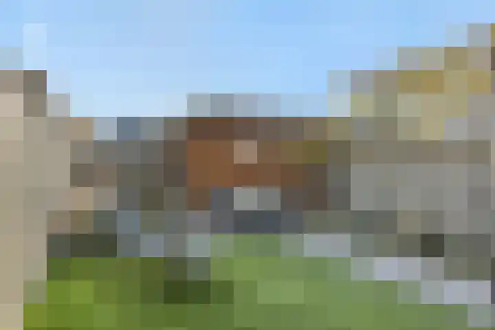 Heideven 21 Deurne thumbnail 28
