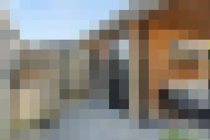 Heideven 21 Deurne thumbnail 30