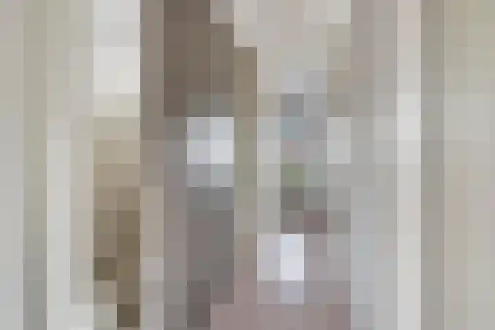 Heideven 9 Deurne thumbnail 20