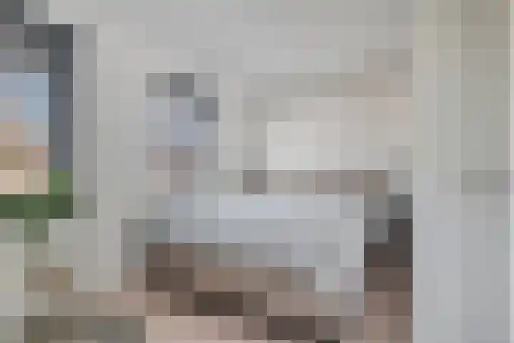 Heideven 9 Deurne thumbnail 21