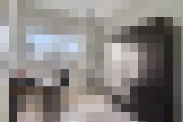 Heideven 9 Deurne thumbnail 24