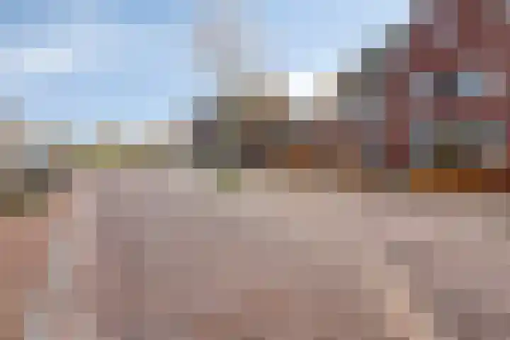 Heideven 9 Deurne thumbnail 37