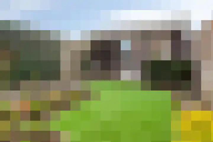 Heideven 9 Deurne thumbnail 4