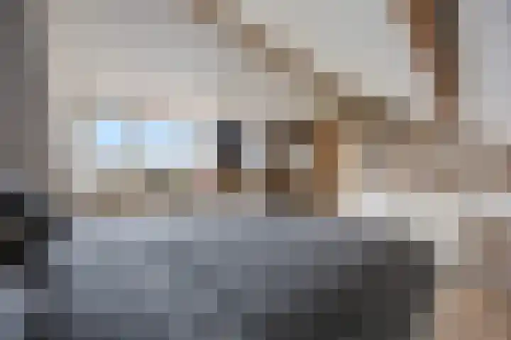 Heidevenstraat 32 Nijmegen thumbnail 34