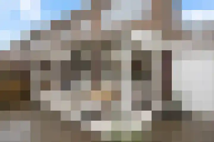 Heidevenstraat 32 Nijmegen thumbnail 41
