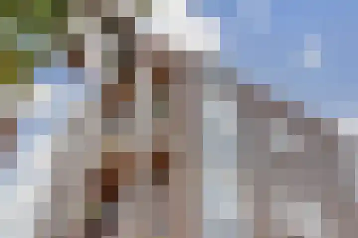 Heidevenstraat 90 B Nijmegen thumbnail 33