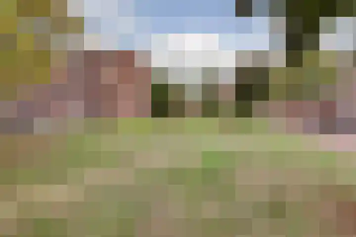 Heidevenstraat 90 B Nijmegen thumbnail 39