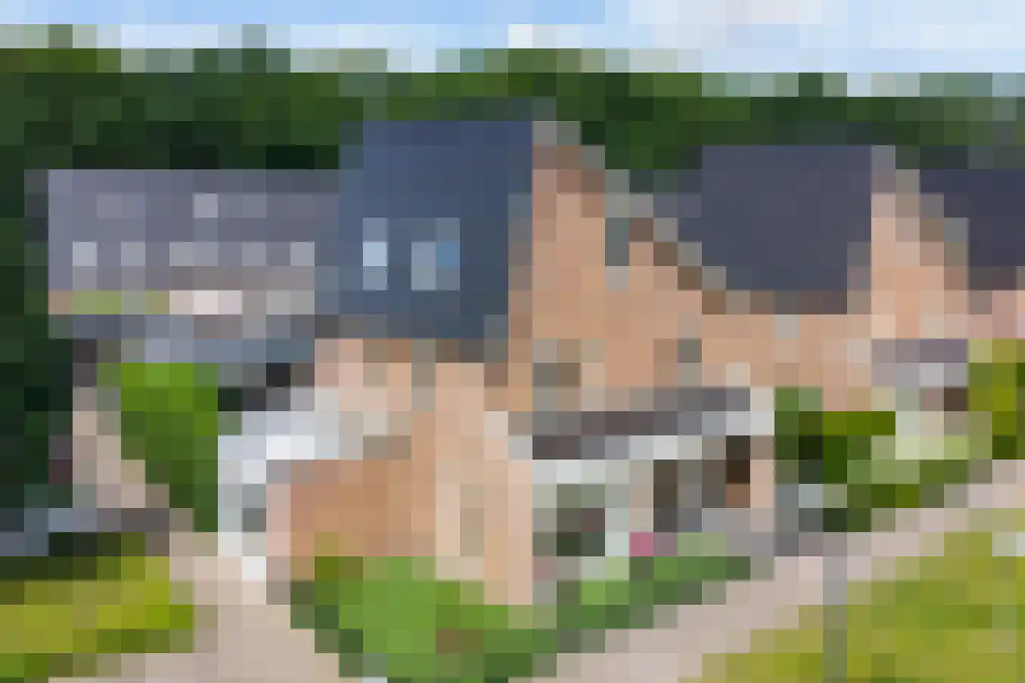 Heidevlinder 12 in Enschede