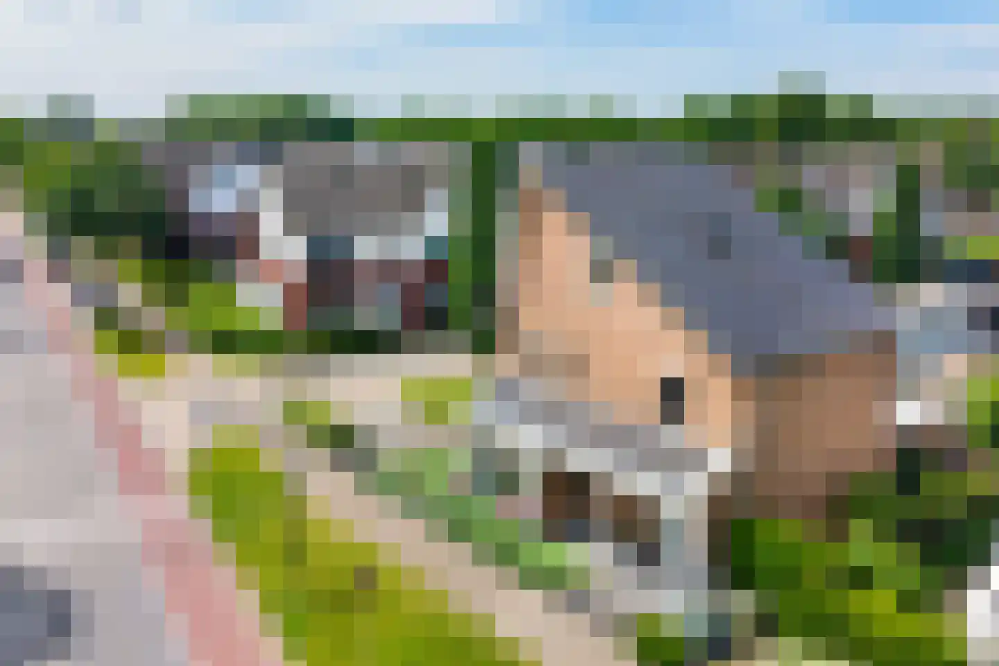 Heidevlinder 12 Enschede thumbnail 46
