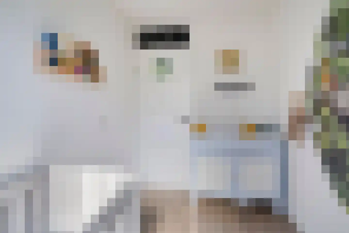Heidevlinder 3 Amersfoort thumbnail 21
