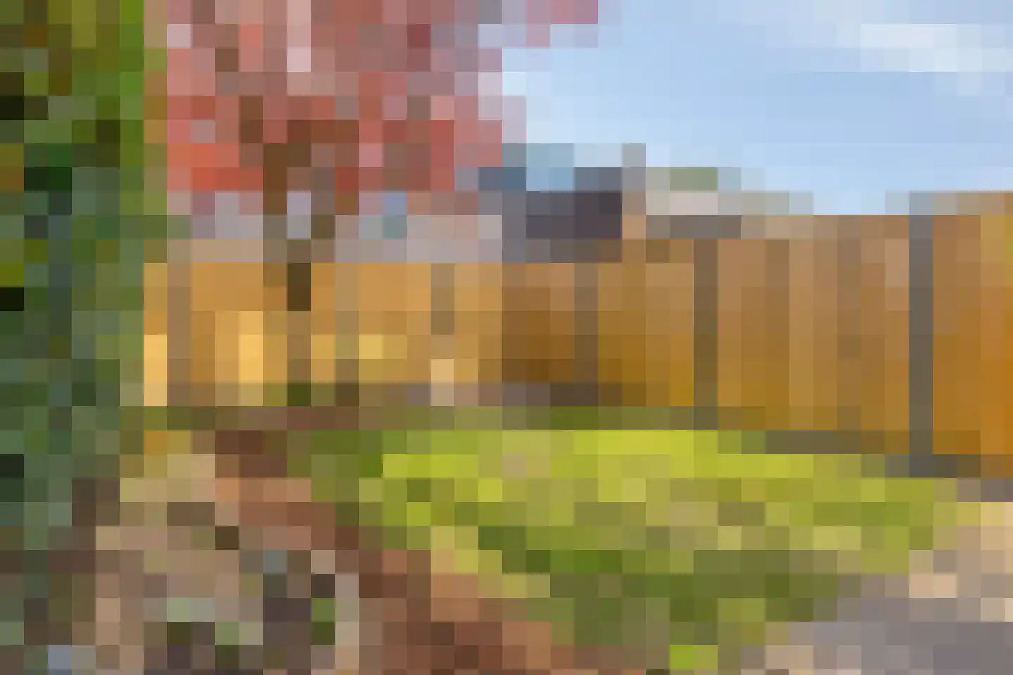 Heidevlinder 3 Amersfoort thumbnail 30