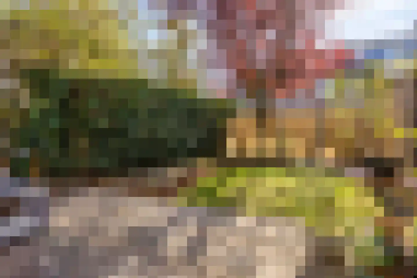 Heidevlinder 3 Amersfoort thumbnail 31