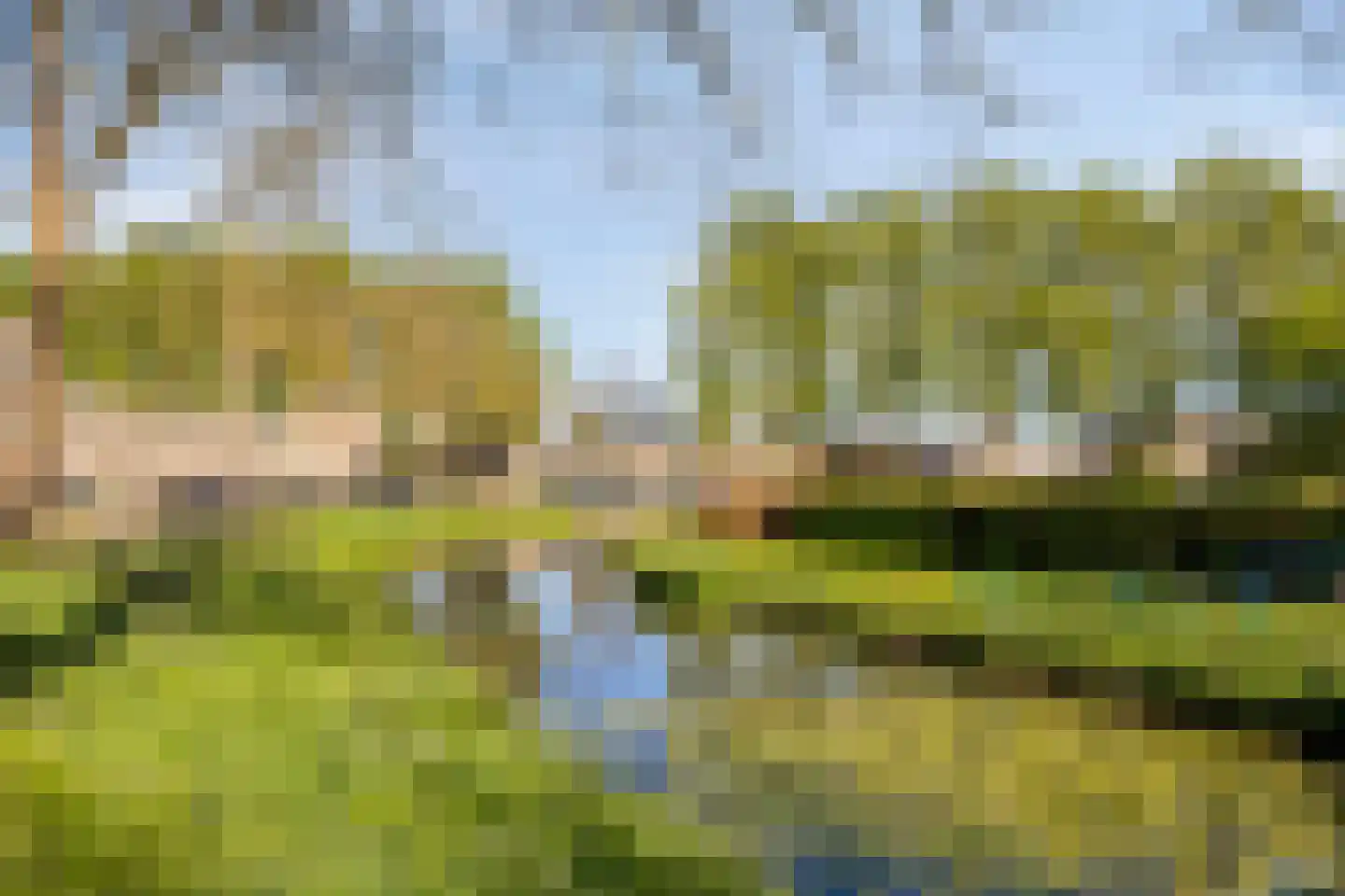 Heidevlinder 3 Amersfoort thumbnail 33