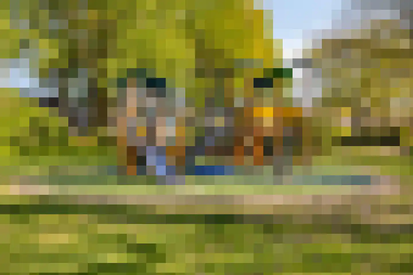 Heidevlinder 3 Amersfoort thumbnail 34