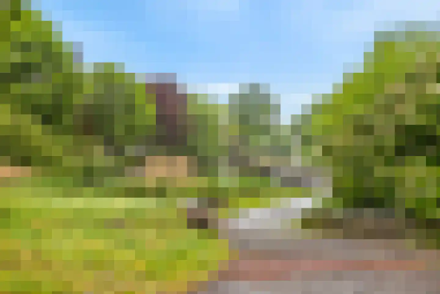 Heidevlinder 62 Enschede thumbnail 30
