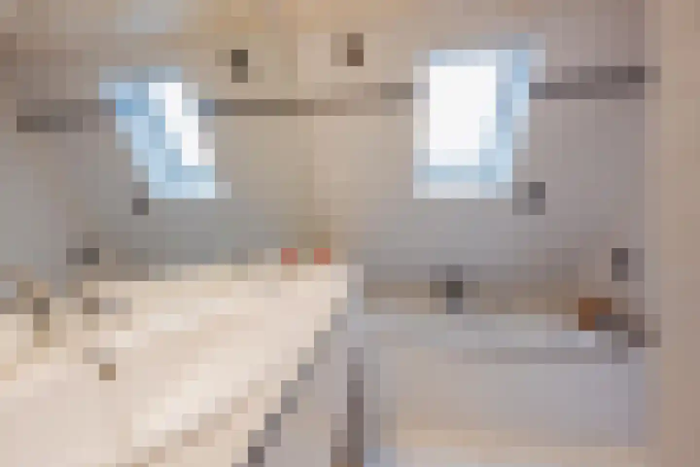 Heidevlinder 64 Enschede thumbnail 23