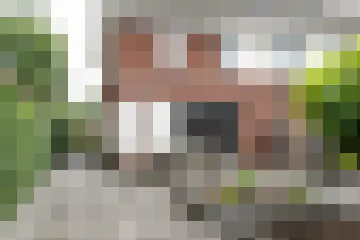 Heidevlinder 64 Enschede thumbnail 34