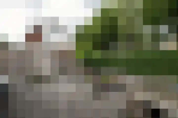 Heidevlinder 64 Enschede thumbnail 37