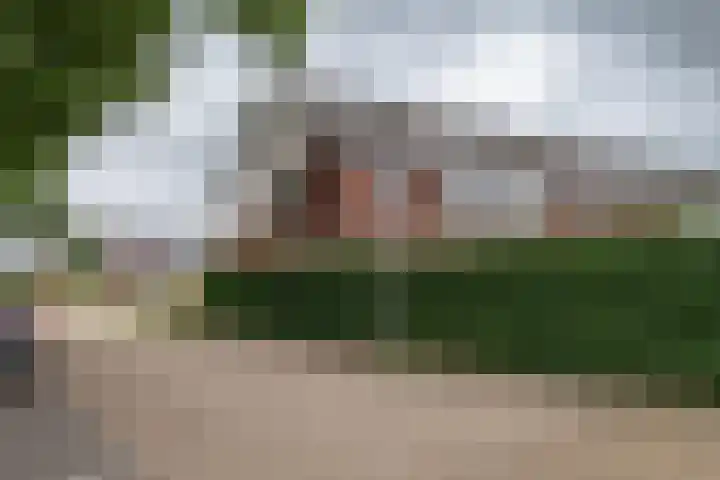 Heidevlinder 64 Enschede thumbnail 38