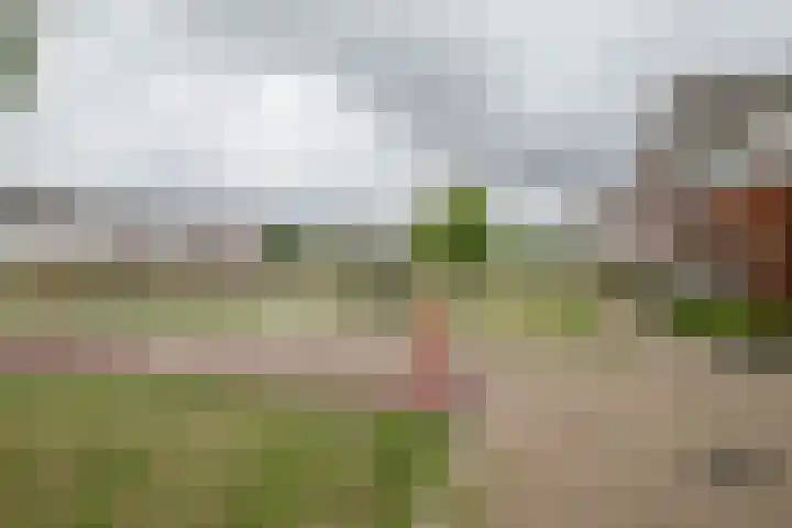 Heidevlinder 64 Enschede thumbnail 39