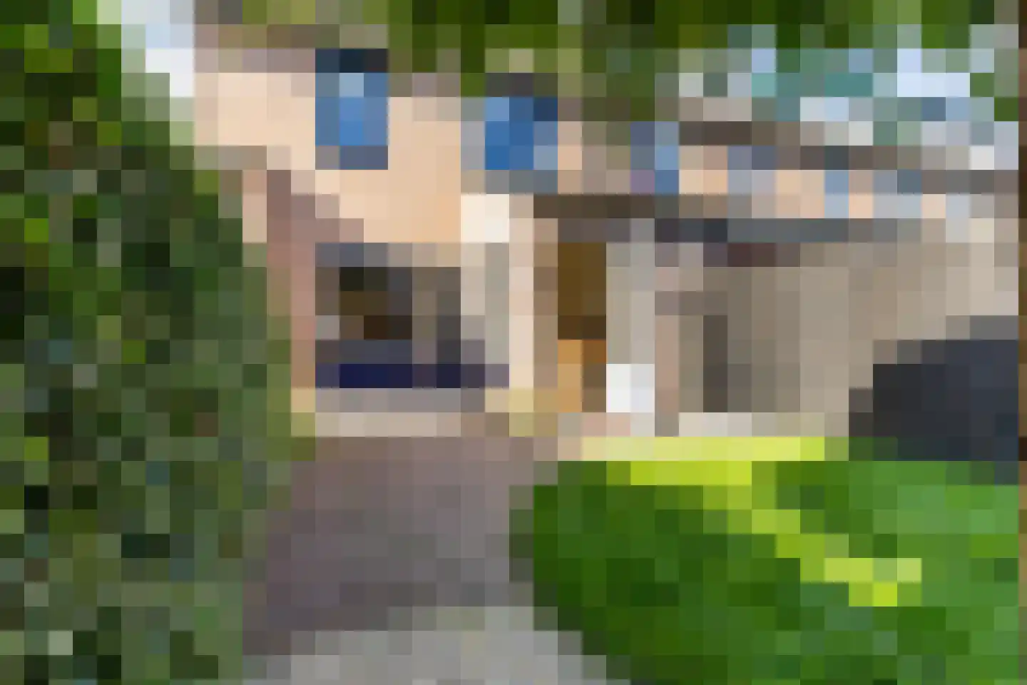 Heidevlinder 8 Amersfoort thumbnail 21