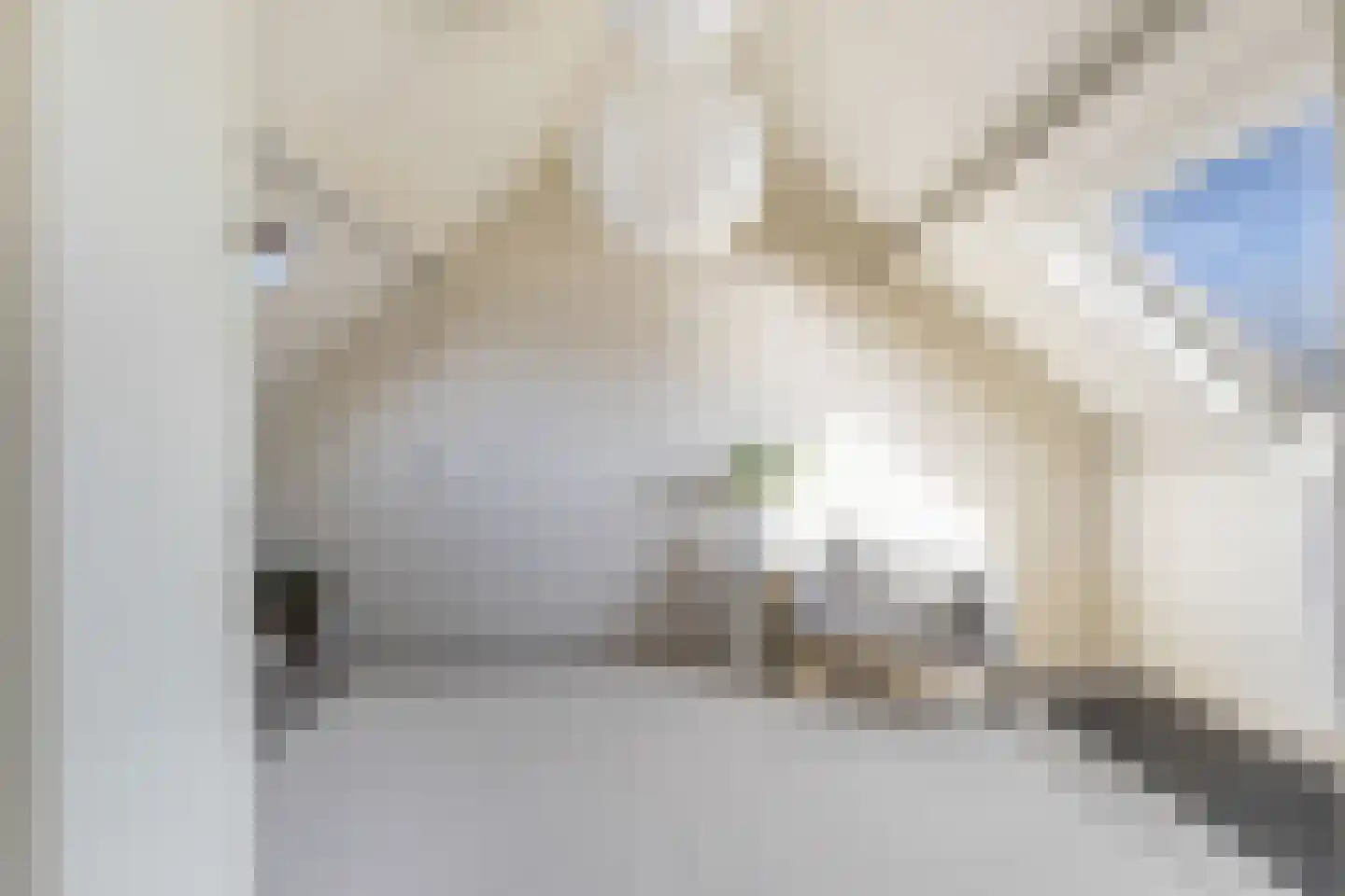 Heidevlinder 8 Amersfoort thumbnail 32