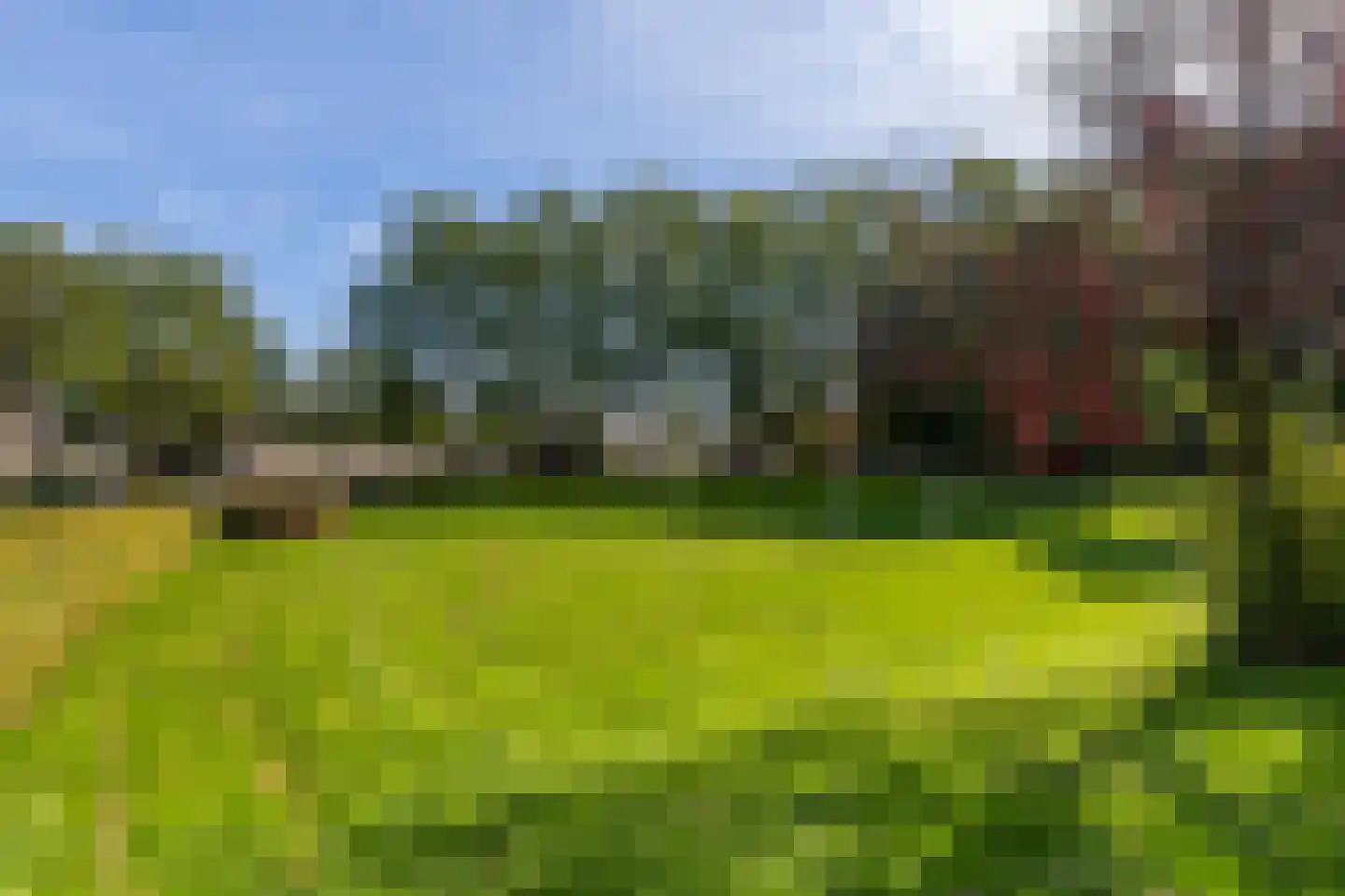 Heidevlinder 8 Amersfoort thumbnail 38