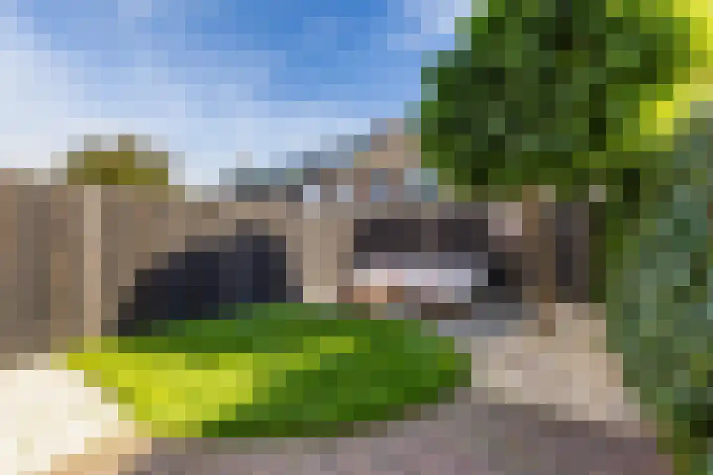 Heidevlinder 8 Amersfoort thumbnail 5