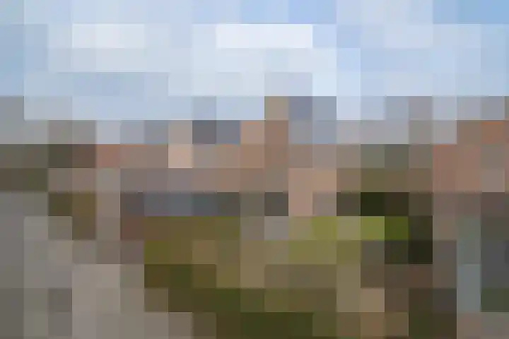 Heidevlinder 8 Enschede thumbnail 4