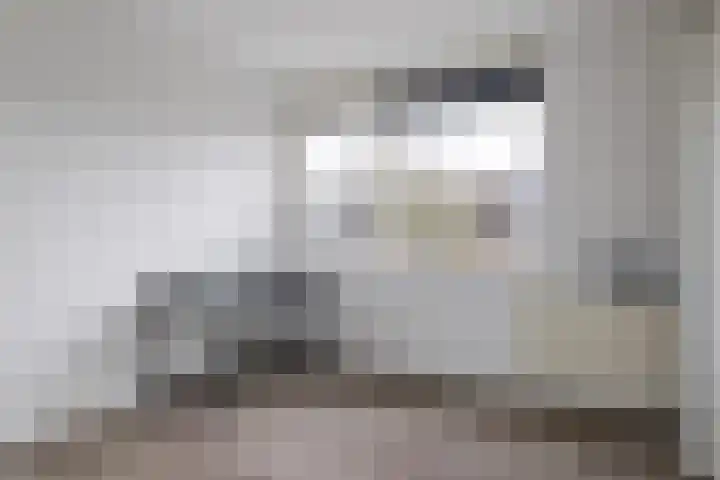 Heidewal 17 Erica thumbnail 20